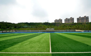<b>人造草足球場</b>